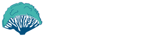 Socotra Biosphere Tours & Travels horizontal logo