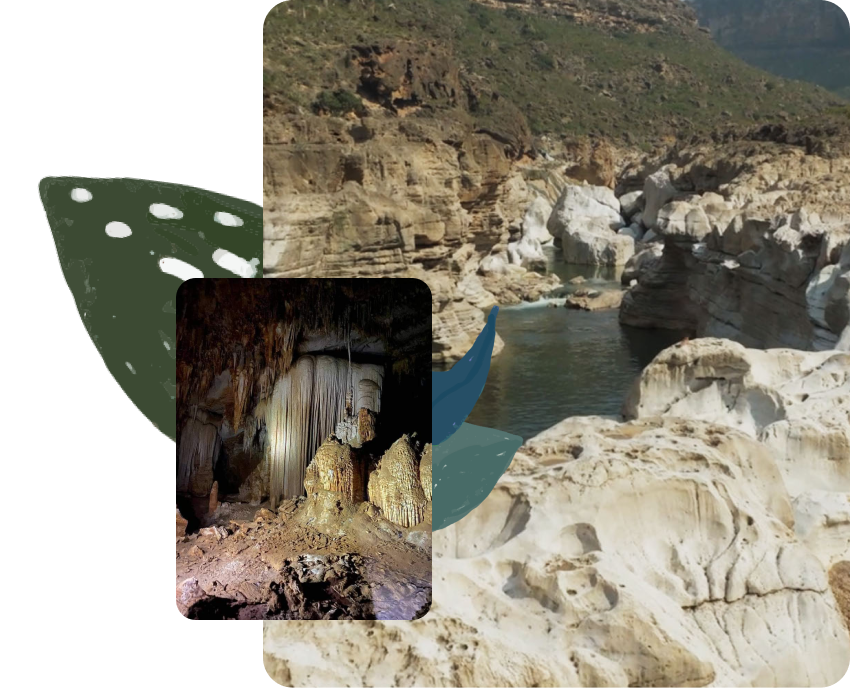 A breathtaking scene of and cave Hoq and Wadi Kalisan, with its lush greenery, rugged cliffs, and crystal-clear flowing water.