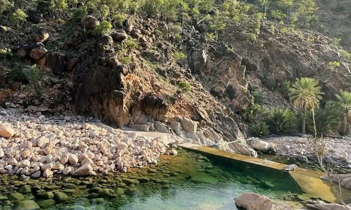 Wadi Ayhaft in Socotra, a stunning desert valley surrounded by dramatic cliffs and lush greenery, offering a unique blend of natural landscapes